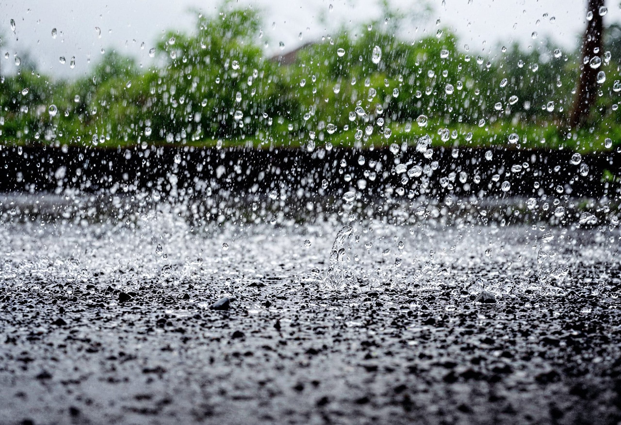 Rain drops