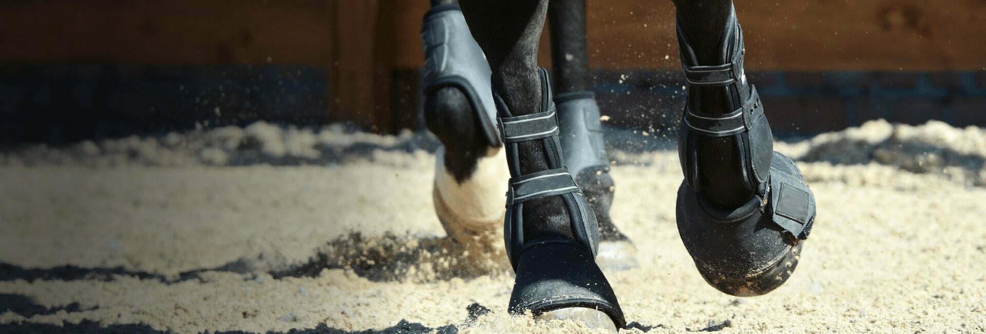 Horses hoofs riding round in a sand school wearing boots.