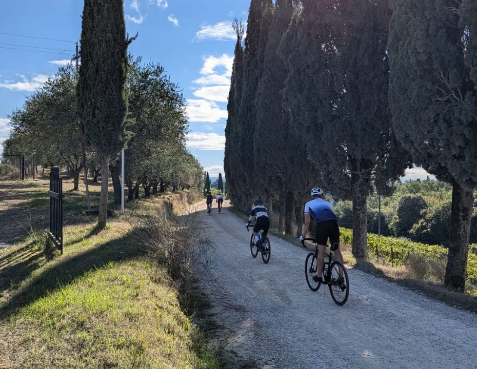 two people riding along on a road with trees